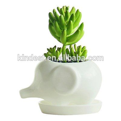 Personalized Ceramic elephant succulent planter pot White